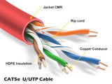 Speedex CAT6 CMR/FT4 (550 Mhz) 1000Ft Network Cable